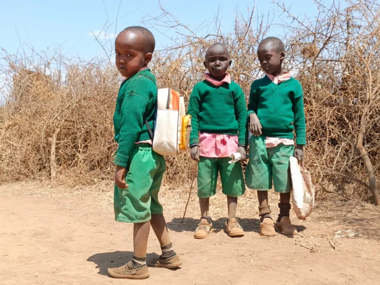 When the Journey to School Becomes a Risk