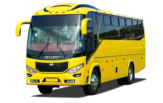 School Bus